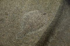 P1088304