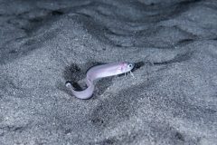 20052026-P1088628