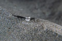 P1066758