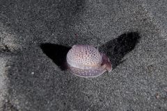 P1077006