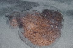 P1077019