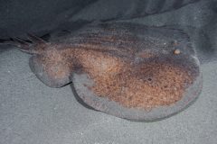 P1077021