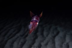 P1077028