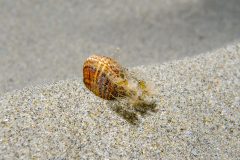 P1033174