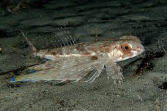 P1066656