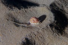 IMG_6768