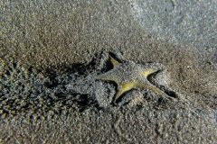 IMG_6770