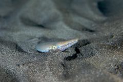 IMG_6772