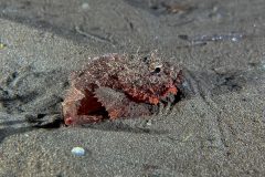 IMG_6789