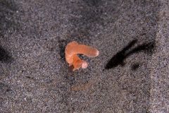 P1077784