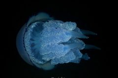 P1044492