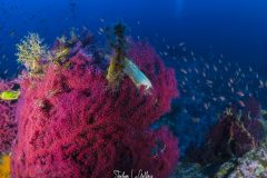IMG_2843