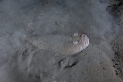 P1077050