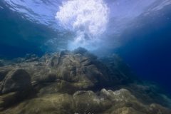 IMG_8340
