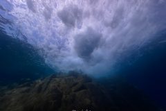 IMG_8344