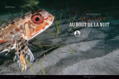 P34-39-POTOFOLIO-BIODIVERSITE-4-1