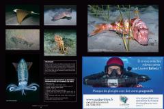 P34-39-POTOFOLIO-BIODIVERSITE-4-3