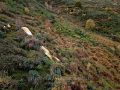 DJI_0696