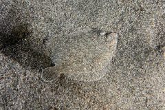 IMG_0140