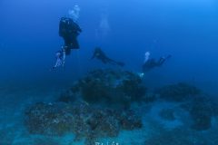 IMG_3996