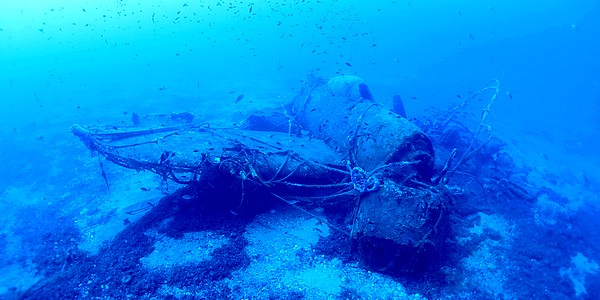 P47_Punta