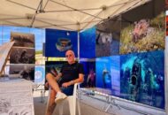 Mar'in Festa